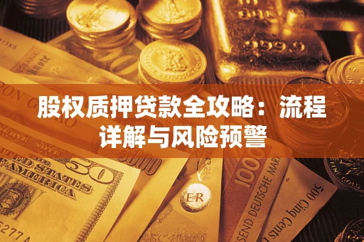 北京股权质押贷款全攻略：流程详解与风险预警