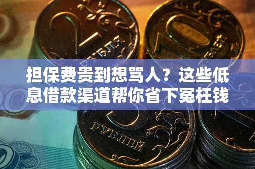 北京担保费贵到想骂人？这些低息借款渠道帮你省下冤枉钱