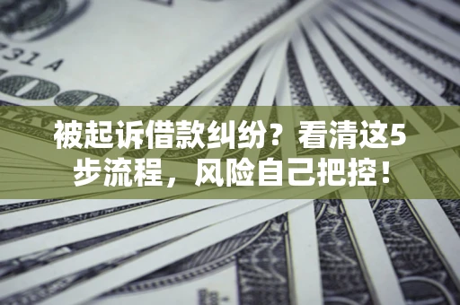 北京被起诉借款纠纷？看清这5步流程，风险自己把控！