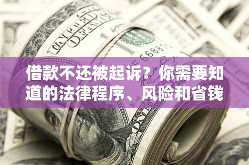 北京借款不还被起诉？你需要知道的法律程序、风险和省钱技巧